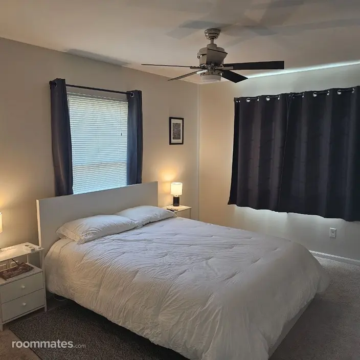 Room for rent in Ferndale, MI $800, house