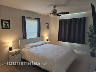 Room for rent in Ferndale, MI $800, house