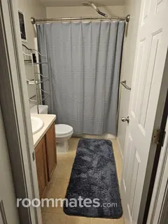 Room for rent in Ferndale, MI $800, house
