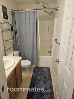 Room for rent in Ferndale, MI $800, house