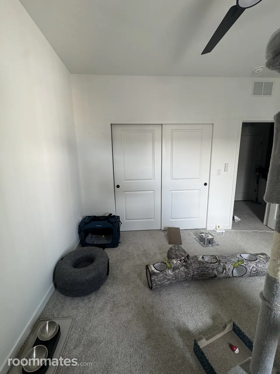 Profile photo 8 of 11