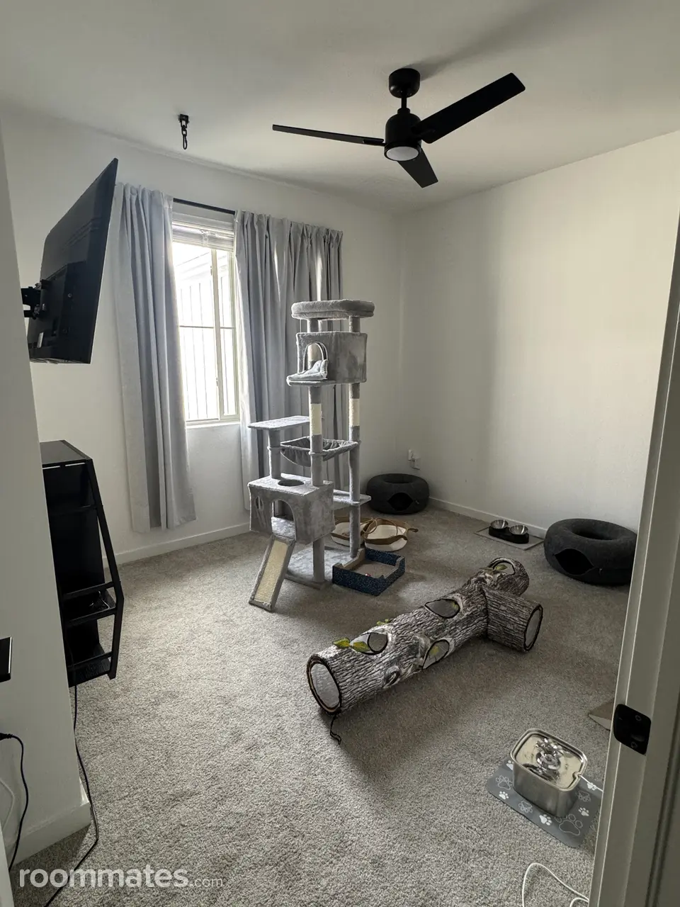 Profile photo 7 of 11