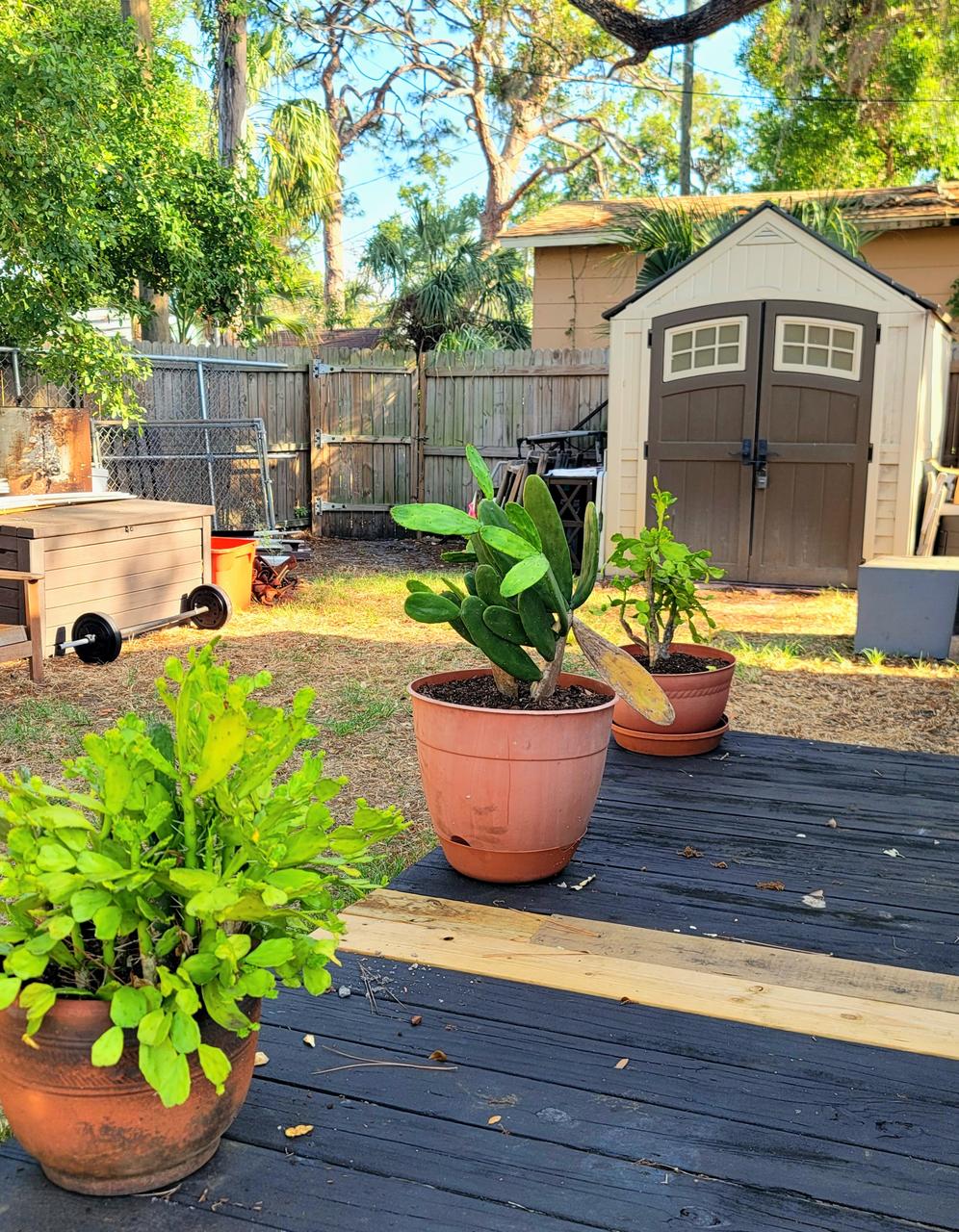 Profile photo 15 of 18