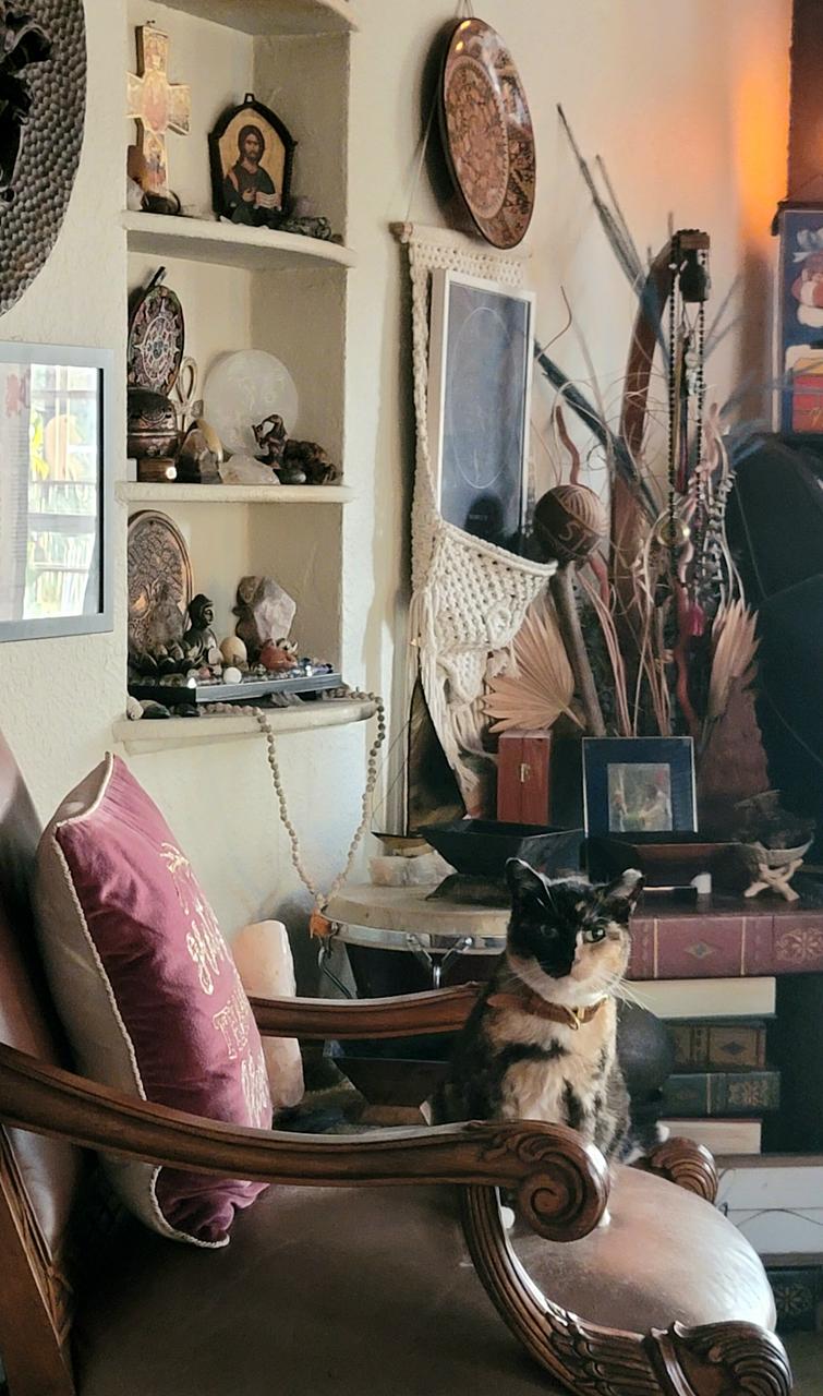 Profile photo 11 of 18