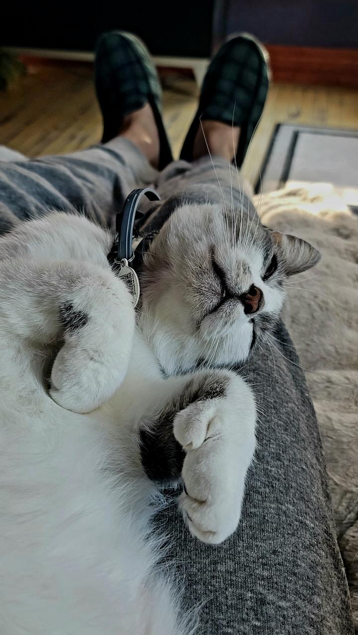 Profile photo 12 of 18