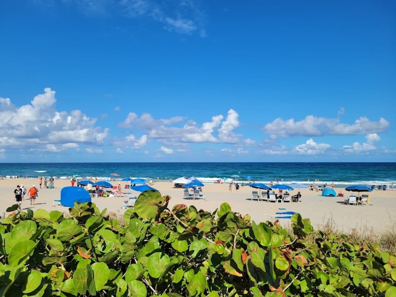 Profile photo 11 of 15