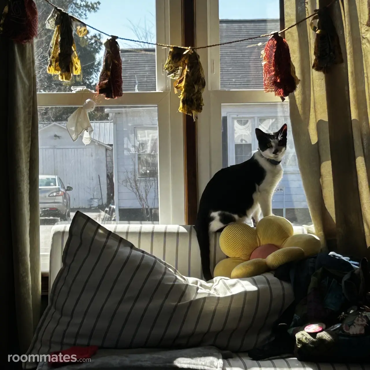 Profile photo 3 of 3