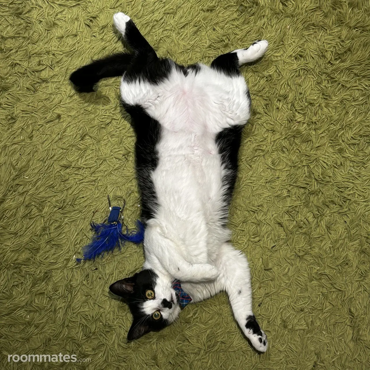 Profile photo 2 of 3