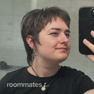 Roommate looking Fredericksburg, VA, $600