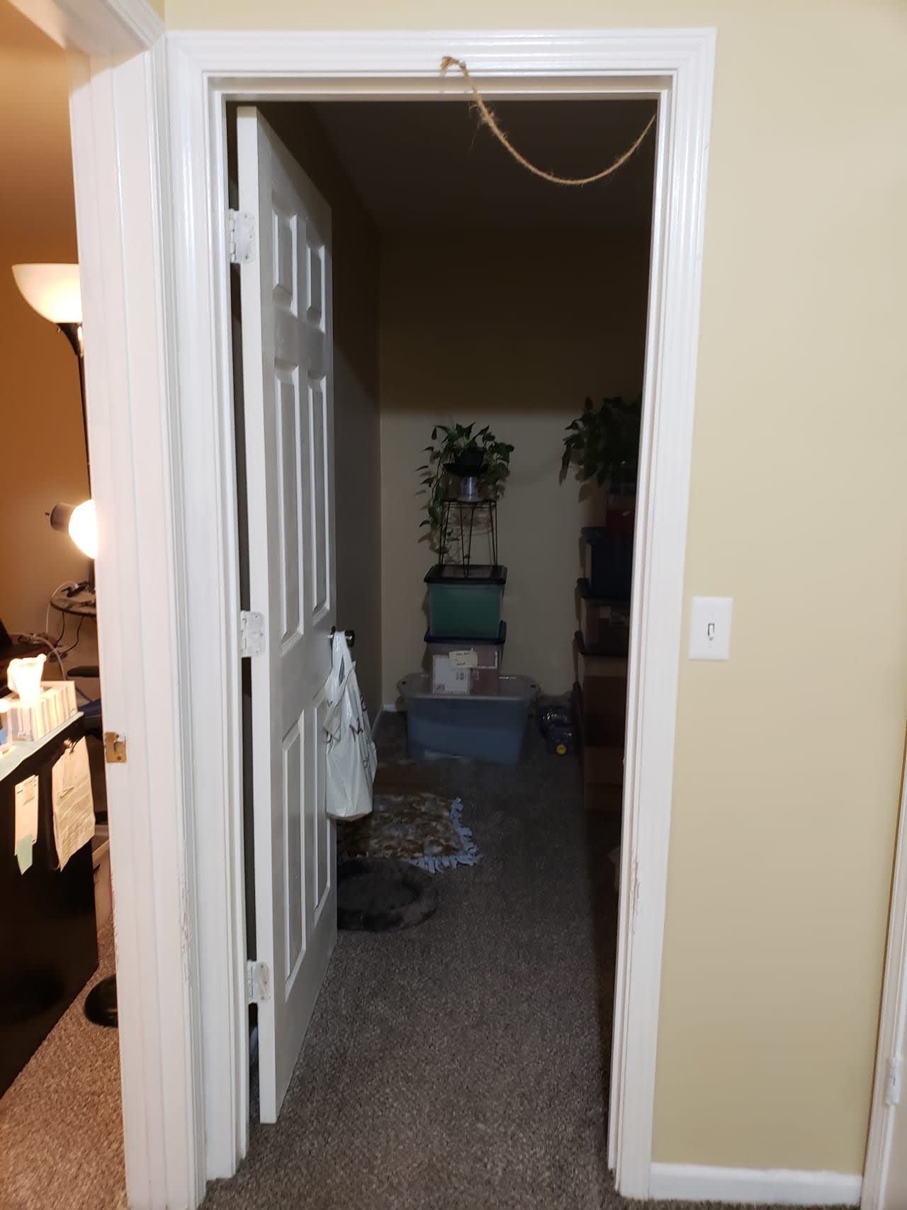 Profile photo 1 of 4