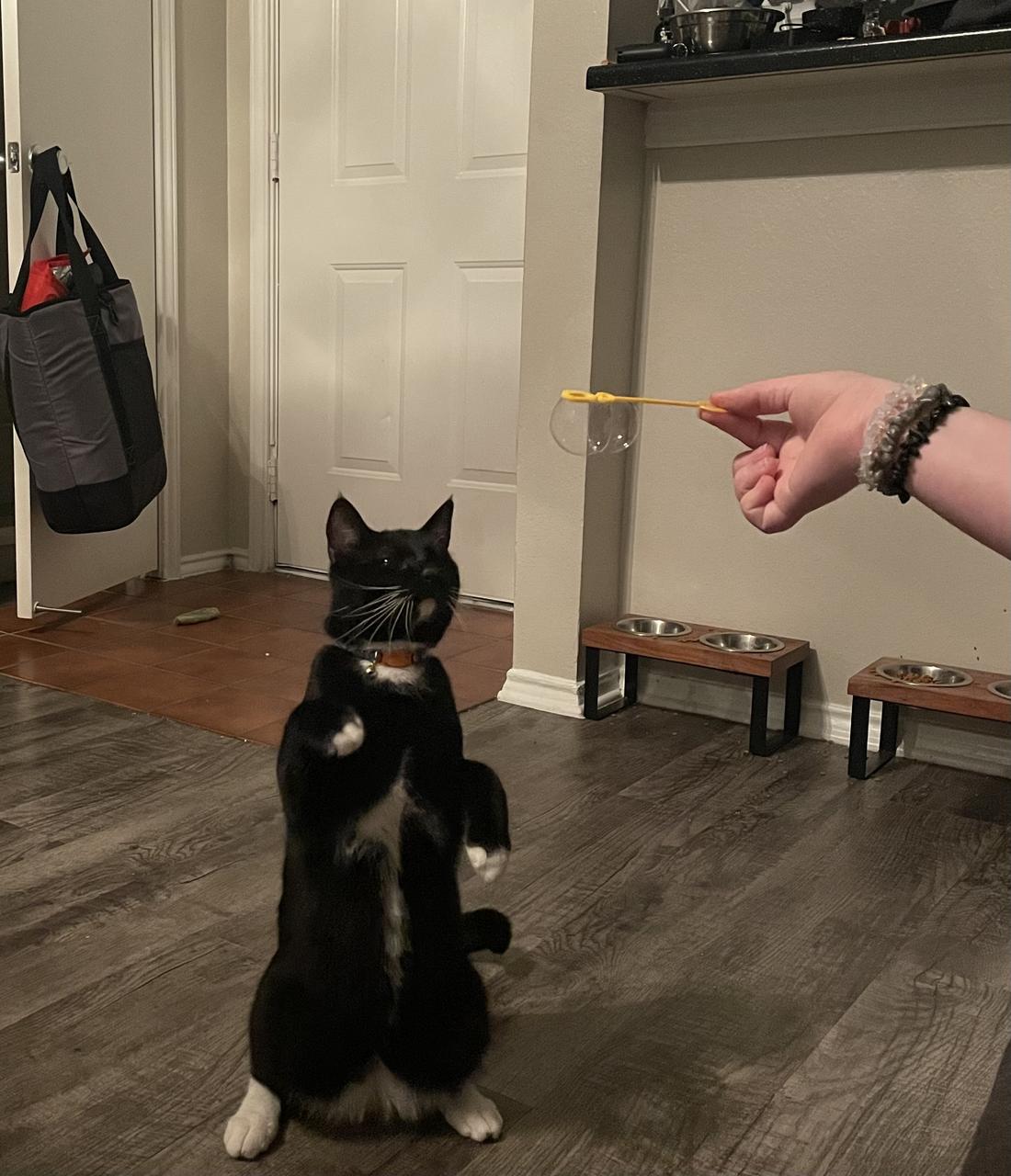 Profile photo 9 of 13