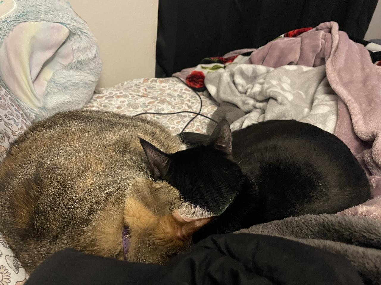 Profile photo 11 of 13