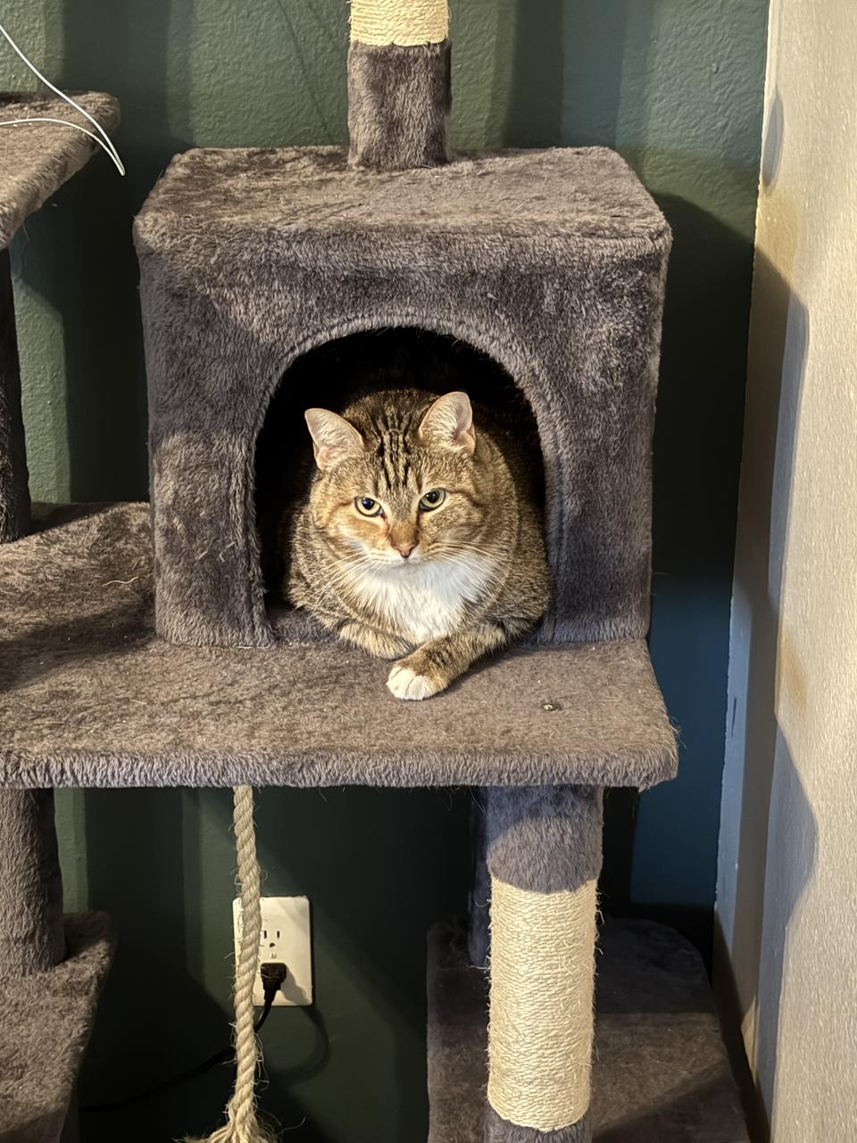 Profile photo 10 of 13