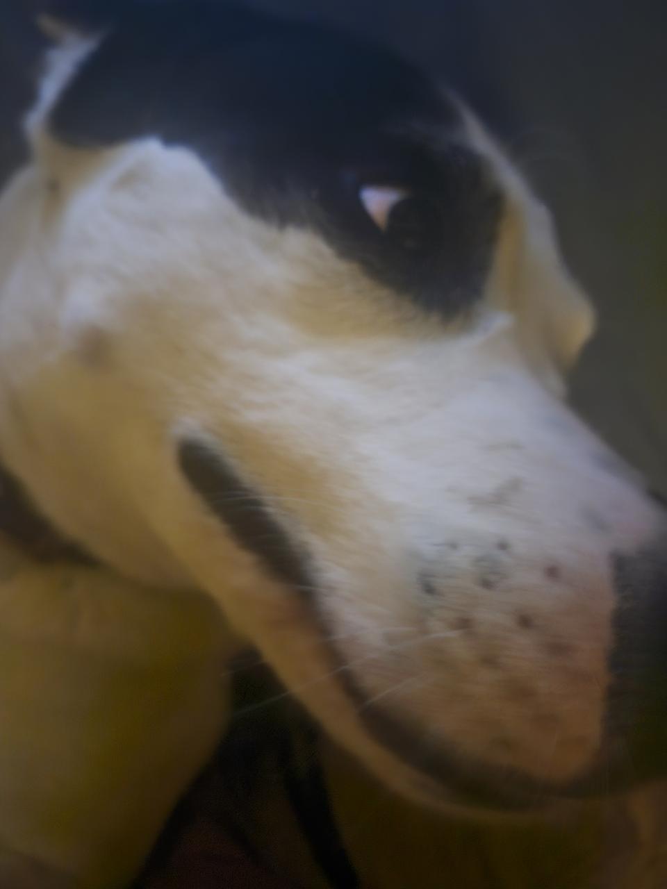 Profile photo 2 of 4