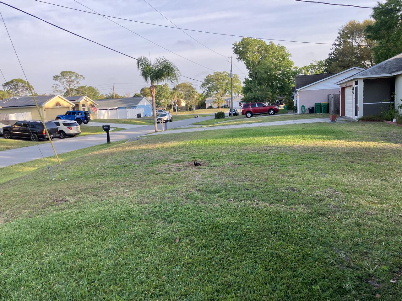 Profile photo 3 of 9