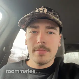 Roommate looking Bloomfield Hills, MI, $500