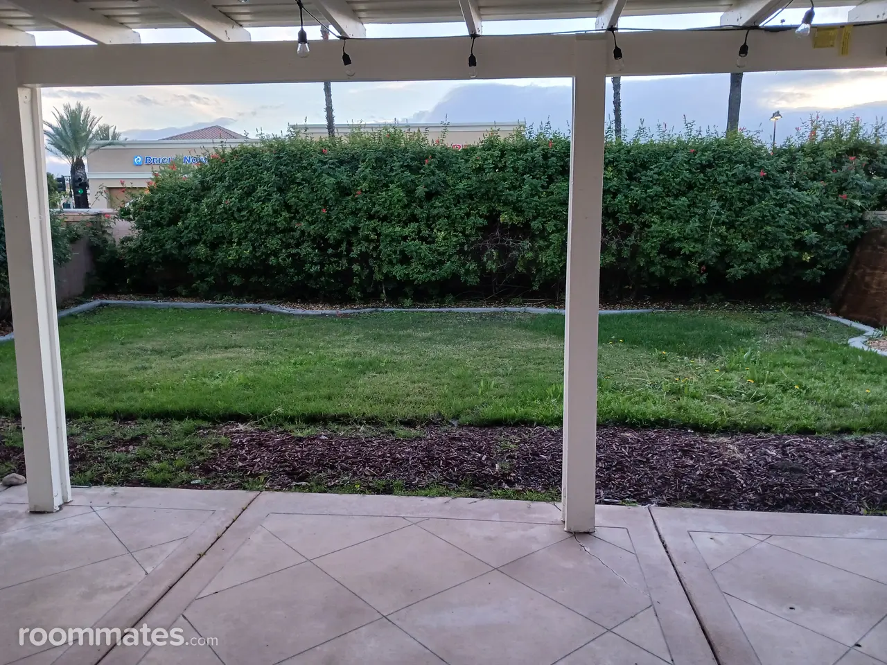 Profile photo 9 of 21