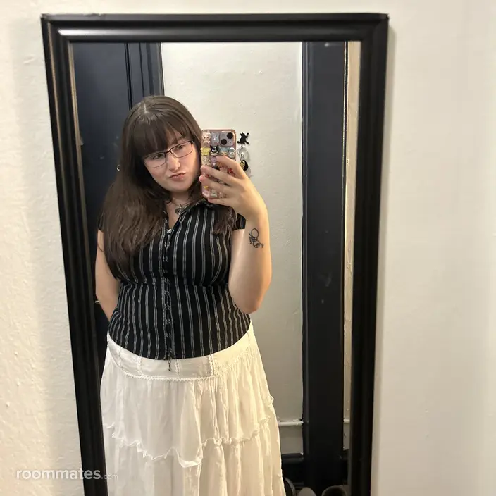 Roommate looking Chicago, IL, $900