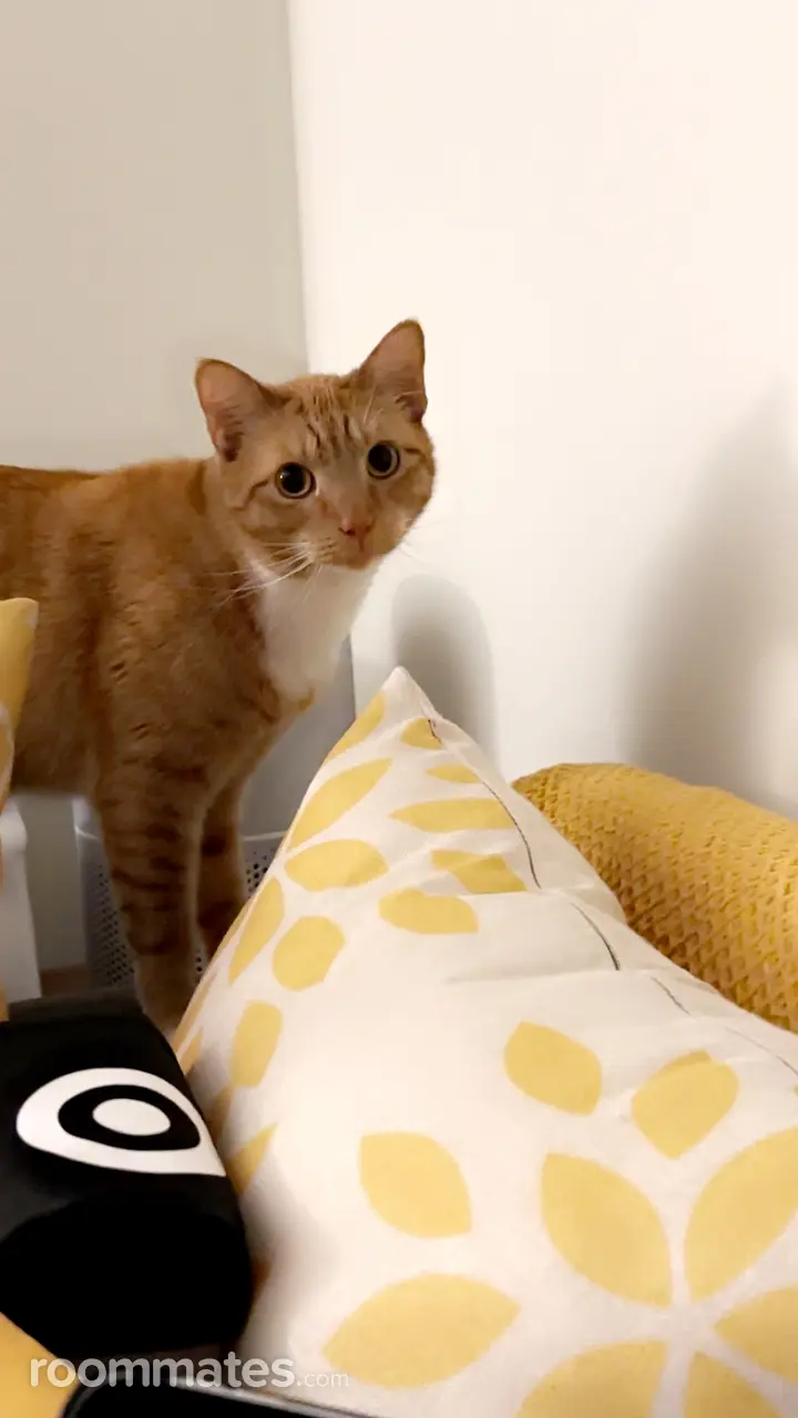 Profile photo 7 of 8