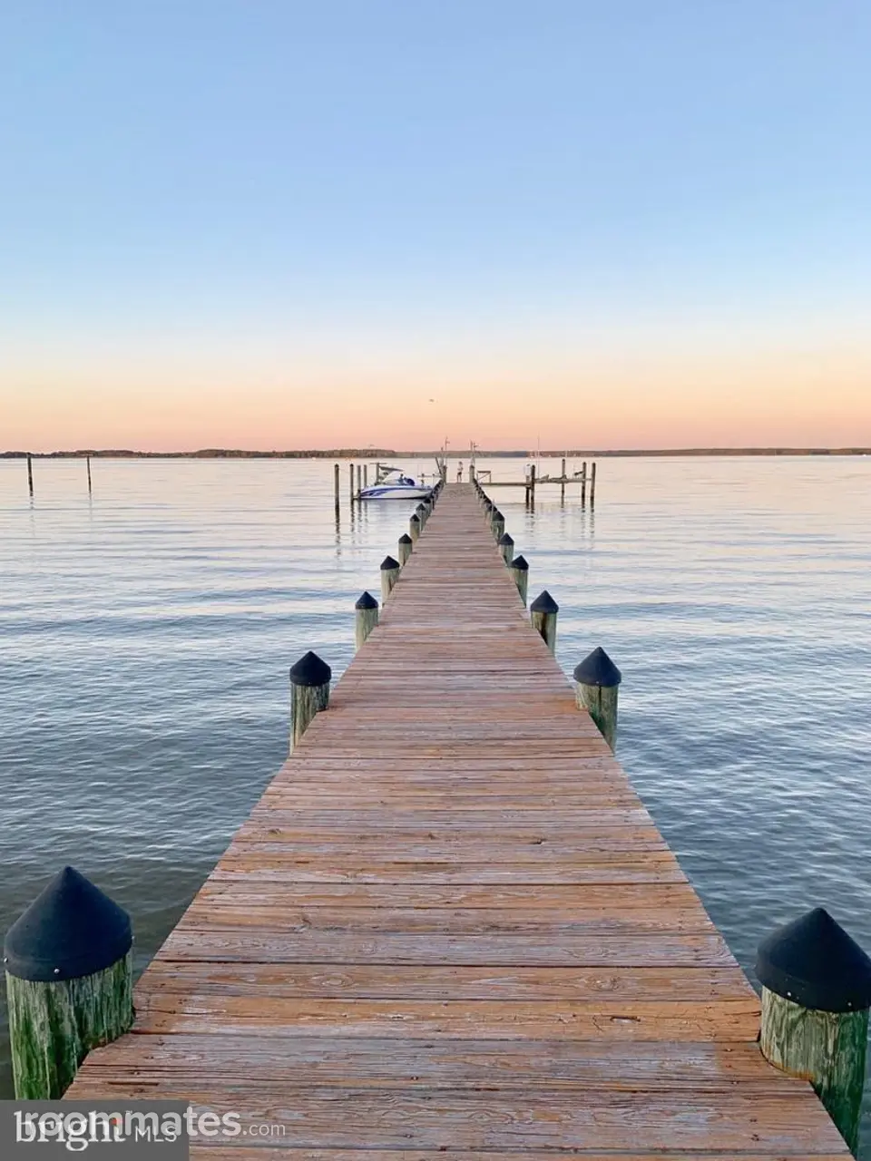 Profile photo 1 of 1