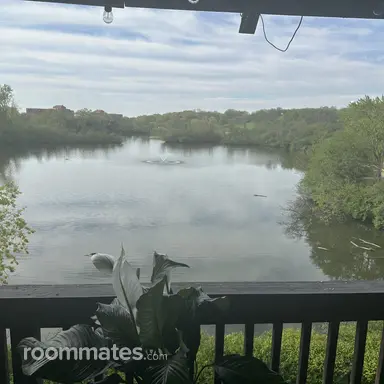 Room for rent in Lisle, IL $900, condo