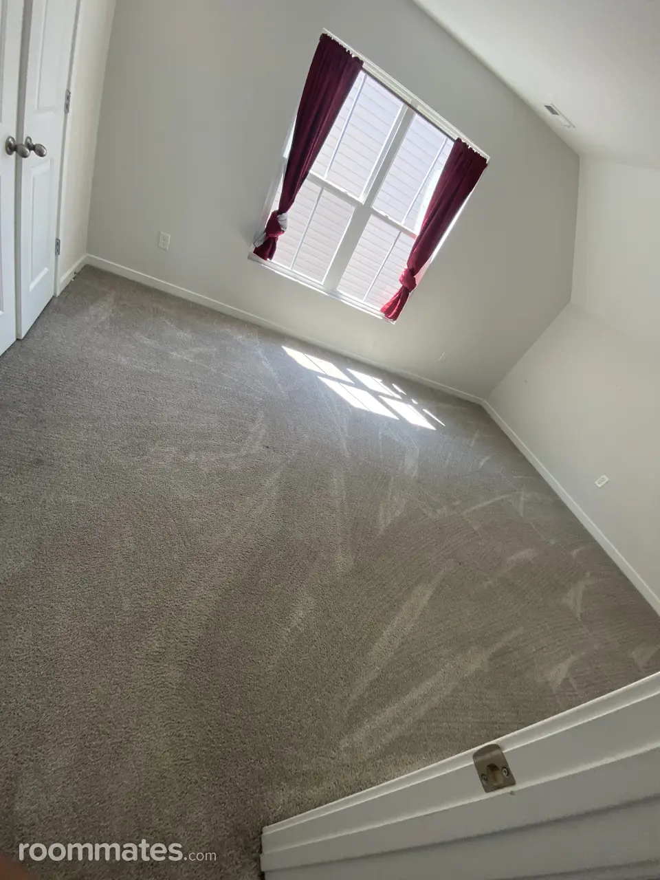 Profile photo 10 of 11