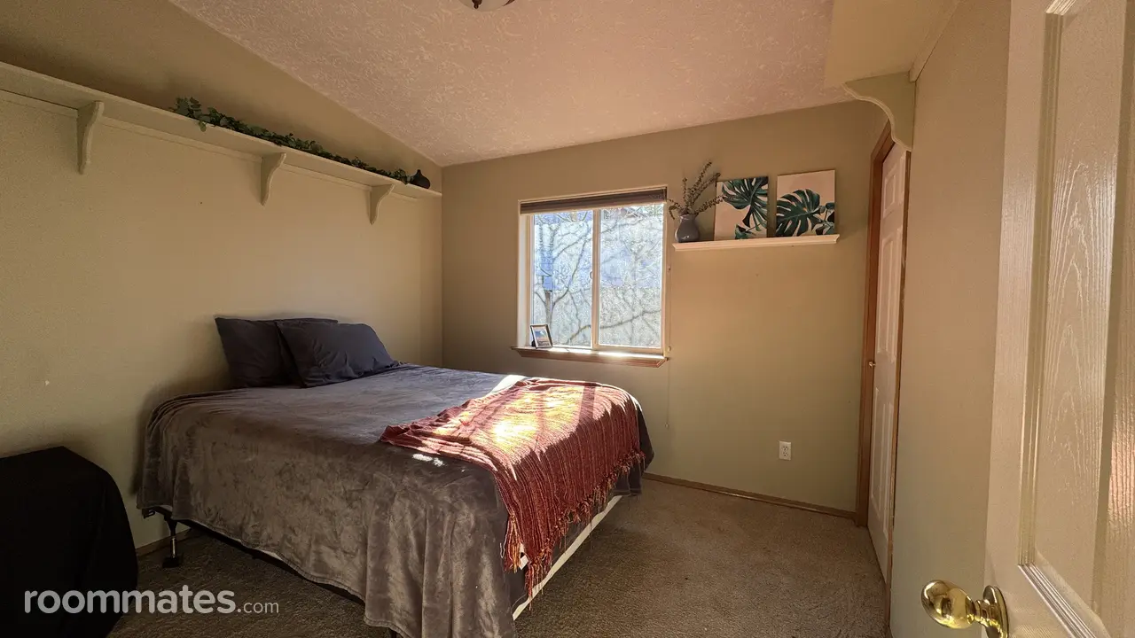 Profile photo 1 of 11