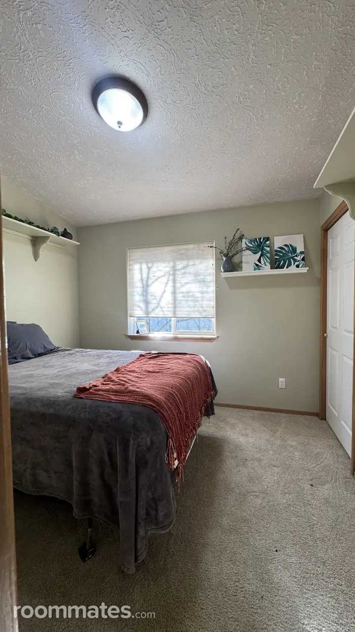 Profile photo 2 of 11