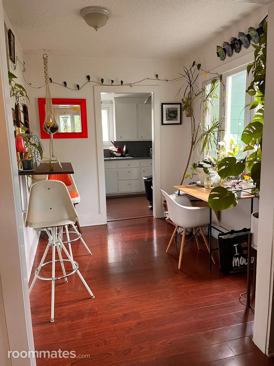 Profile photo 1 of 8