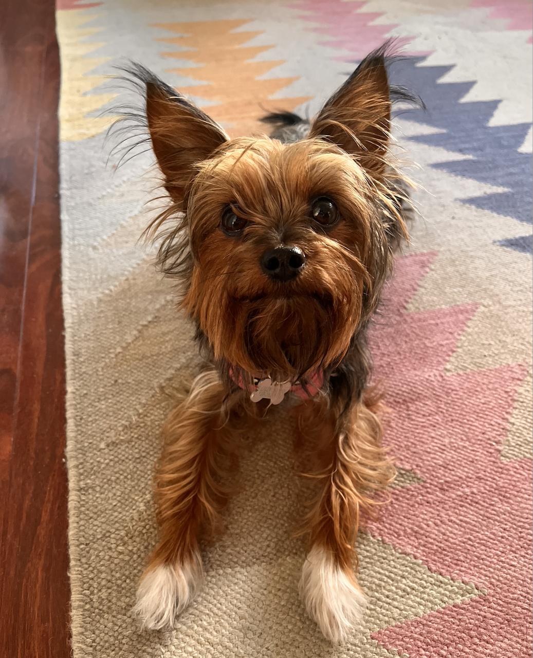 Profile photo 4 of 8