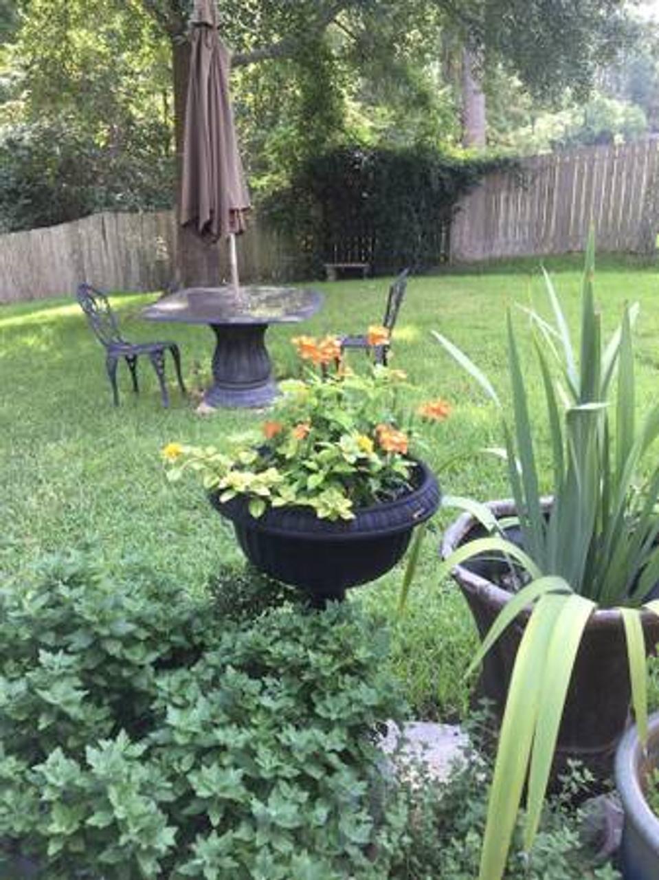 Profile photo 4 of 7