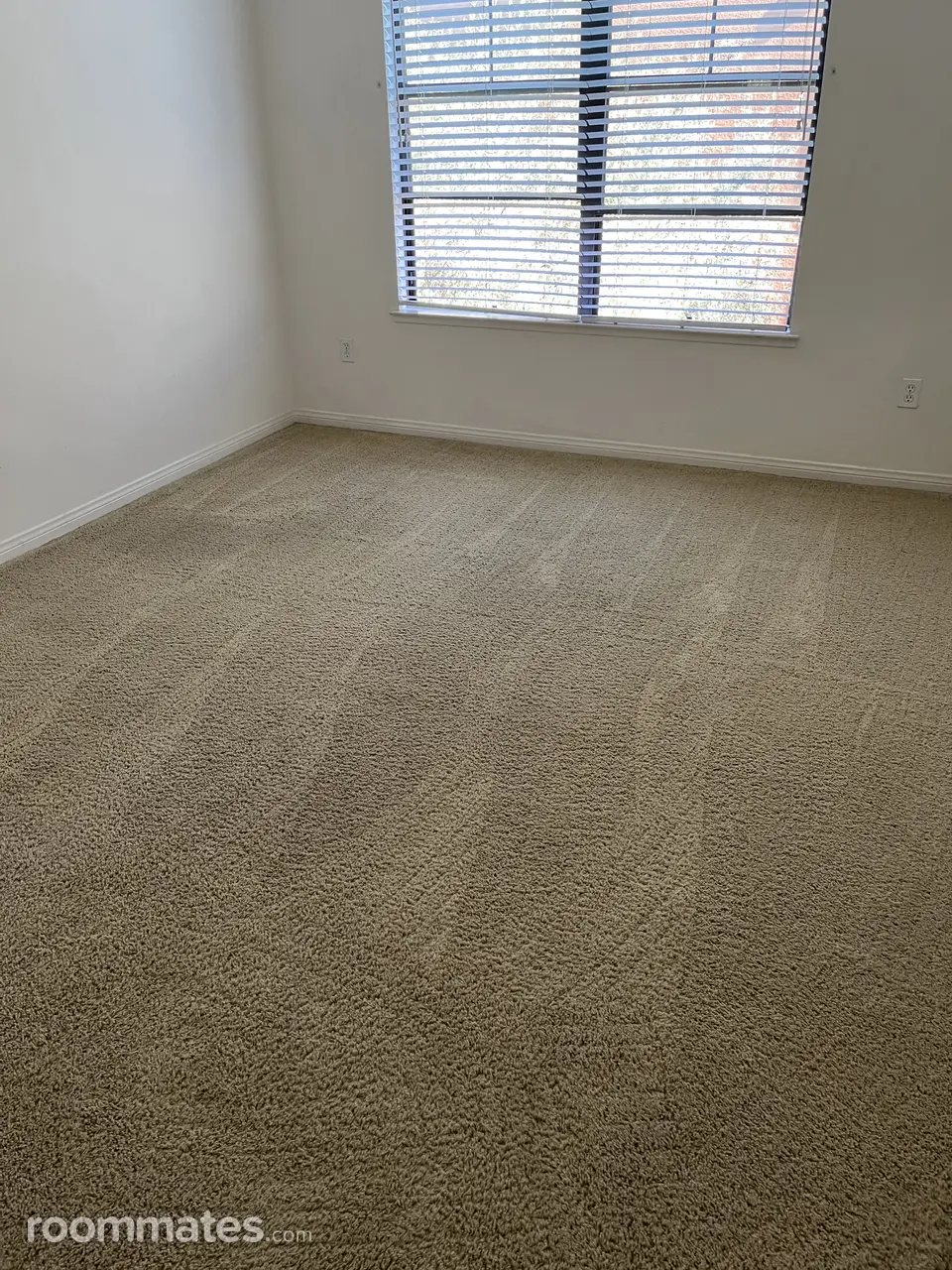 Profile photo 3 of 4