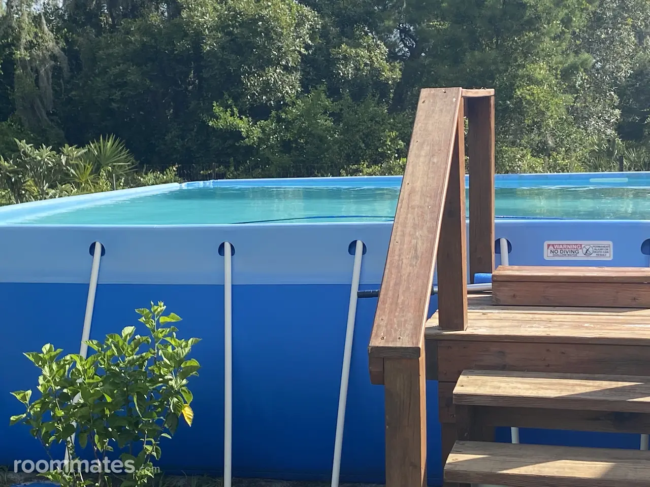 Profile photo 7 of 10