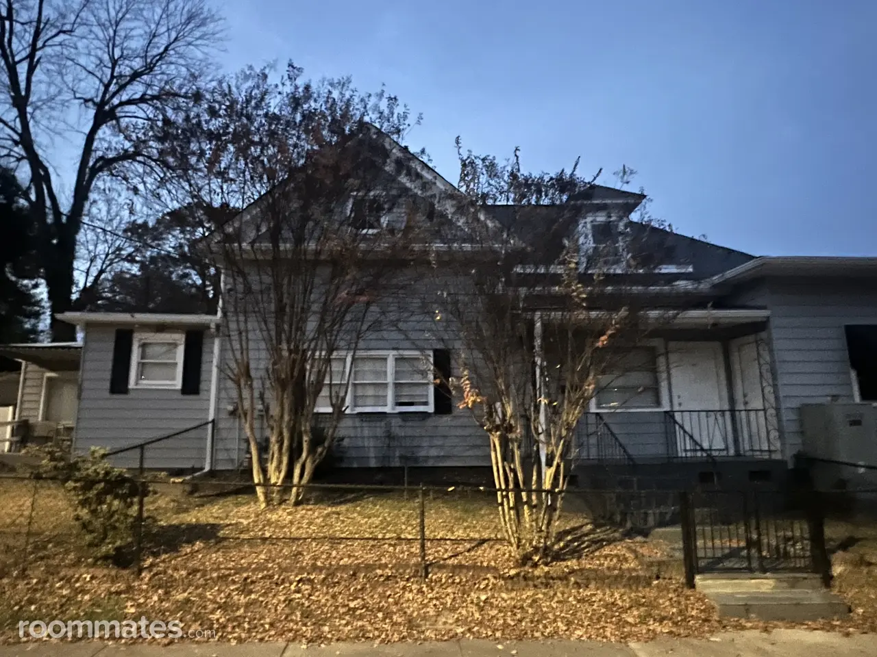 Profile photo 8 of 11