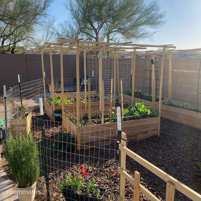 Room for rent in Queen Creek, AZ $800, house
