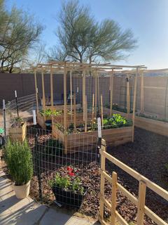 Room for rent in Queen Creek, AZ $800, house