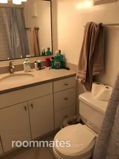 Room for rent in Nashville, TN $800, apartment