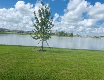 Room for rent in Plant City, FL $950, house