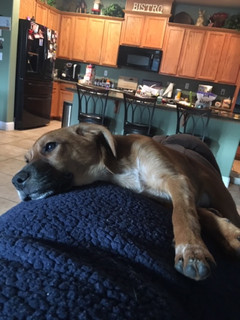 Room for rent in Lincoln, CA $800, house