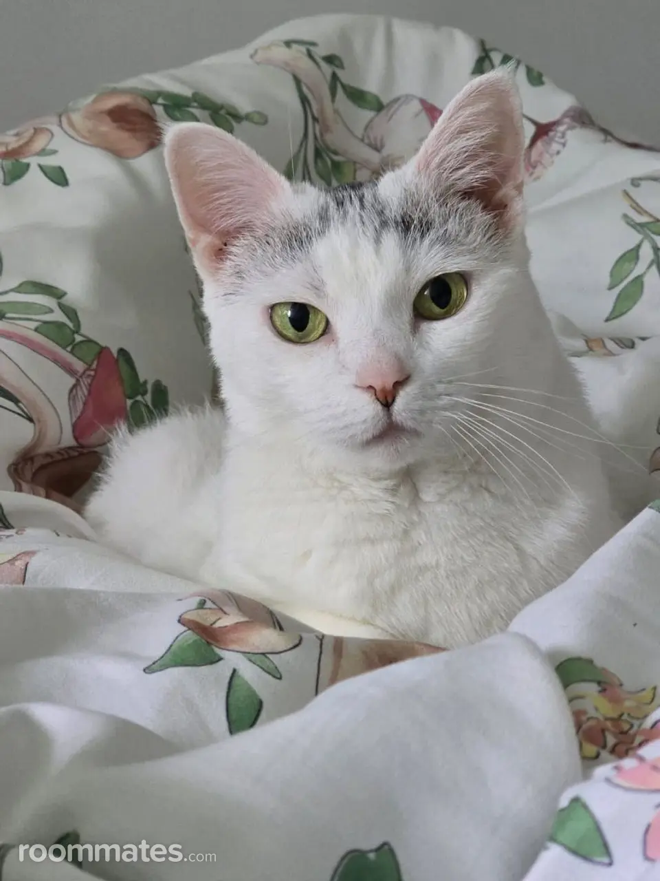 Profile photo 1 of 1