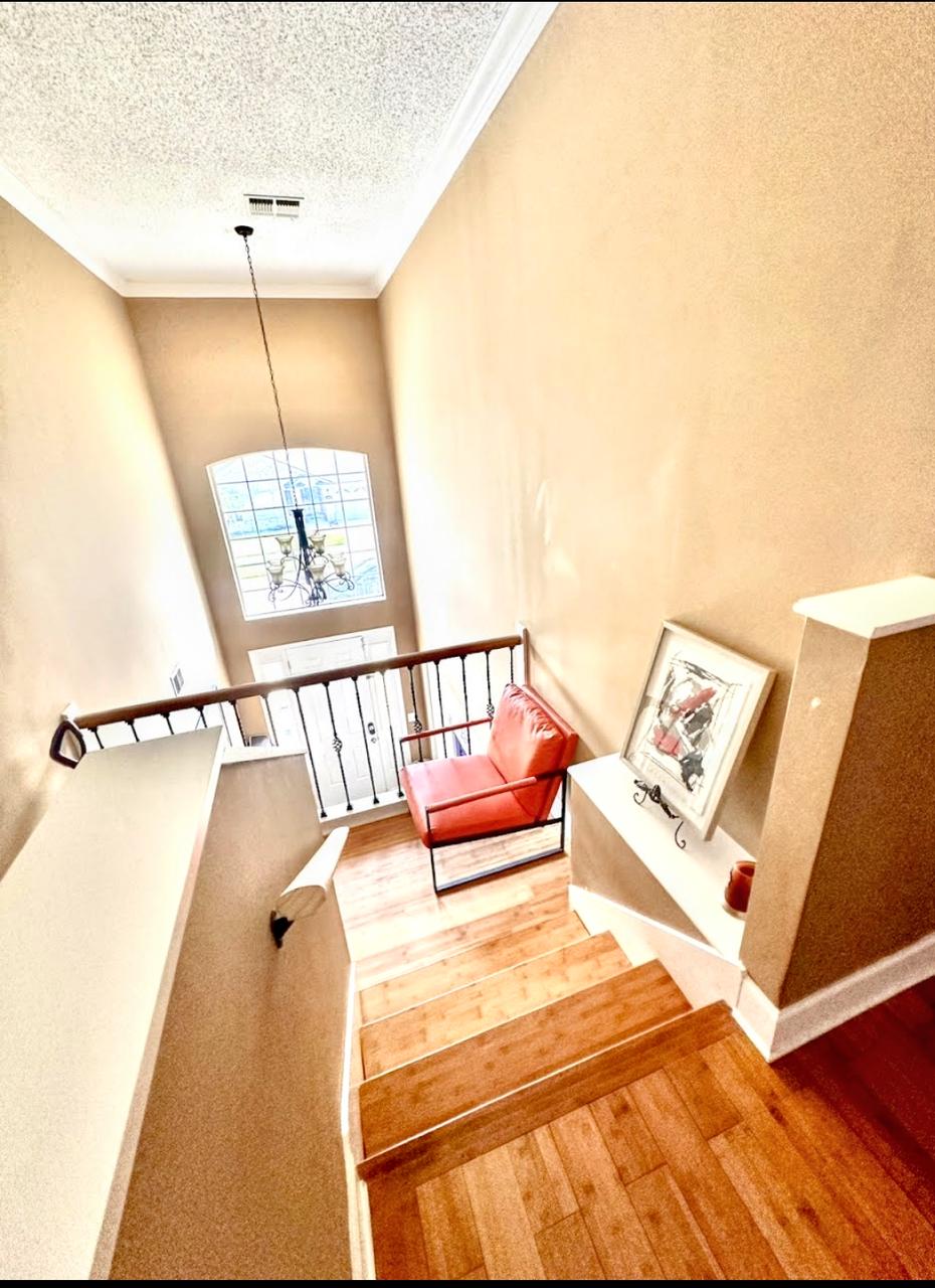 Profile photo 7 of 12