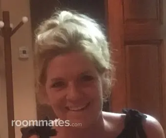 Roommate looking Cincinnati, OH, $600