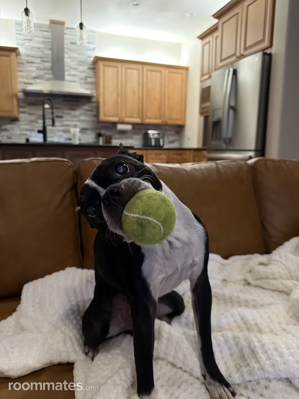 Profile photo 10 of 12