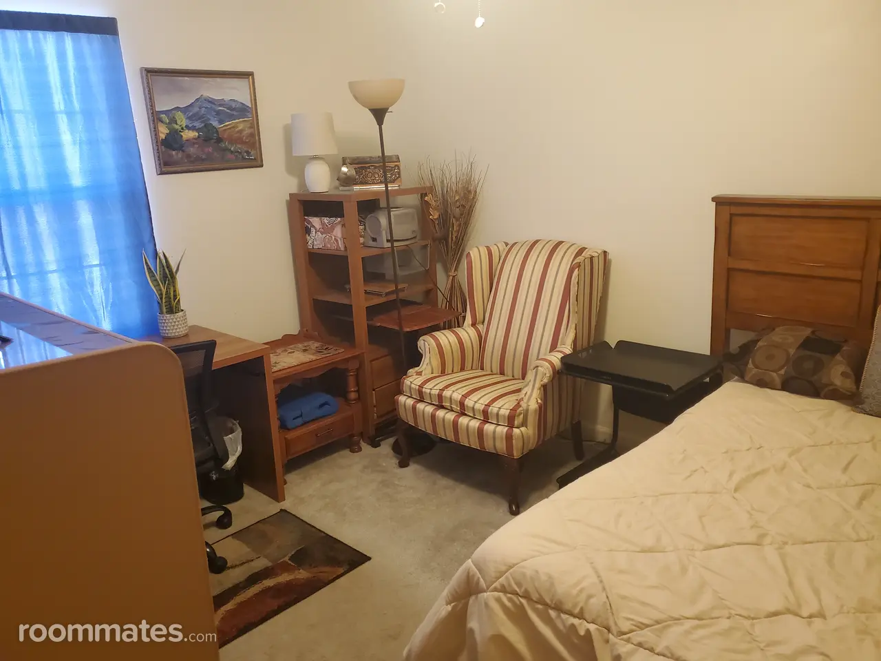 Profile photo 2 of 3