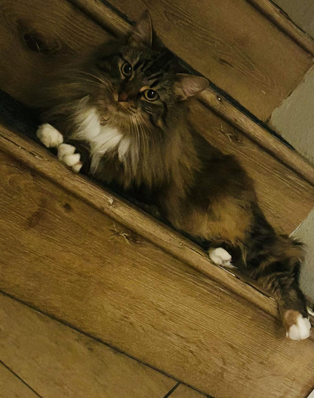 Profile photo 2 of 2