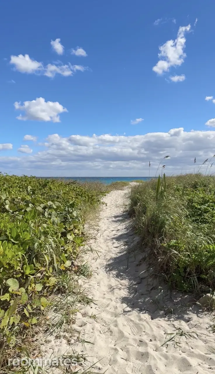 Profile photo 9 of 17