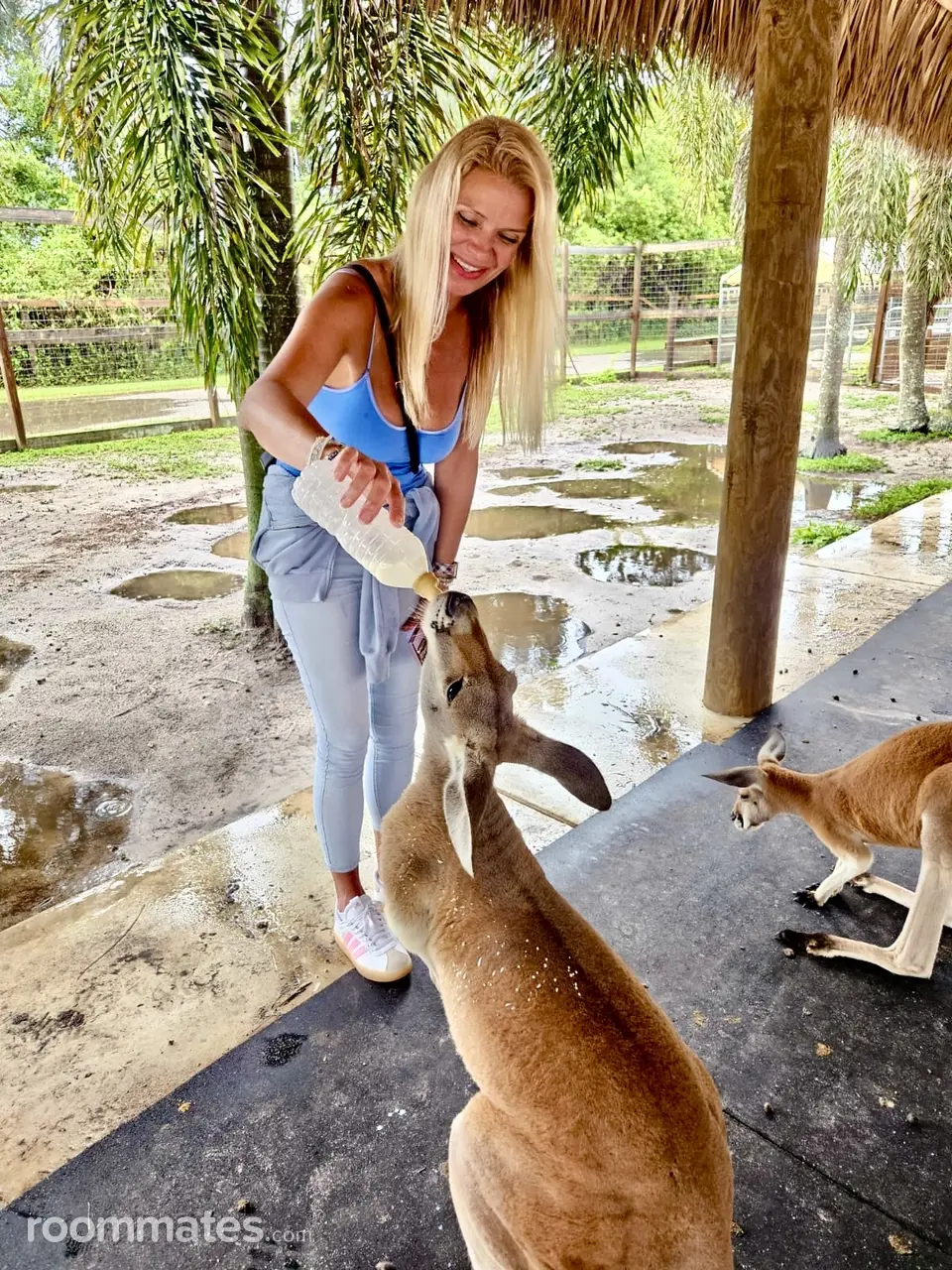 Profile photo 16 of 17