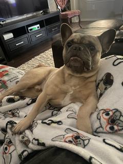 Room for rent in Burleson, TX $700, house