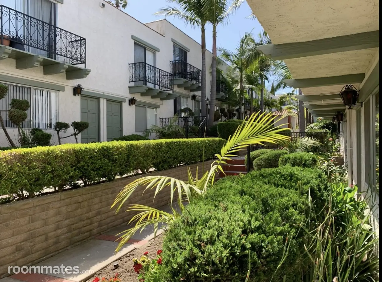 Profile photo 6 of 7