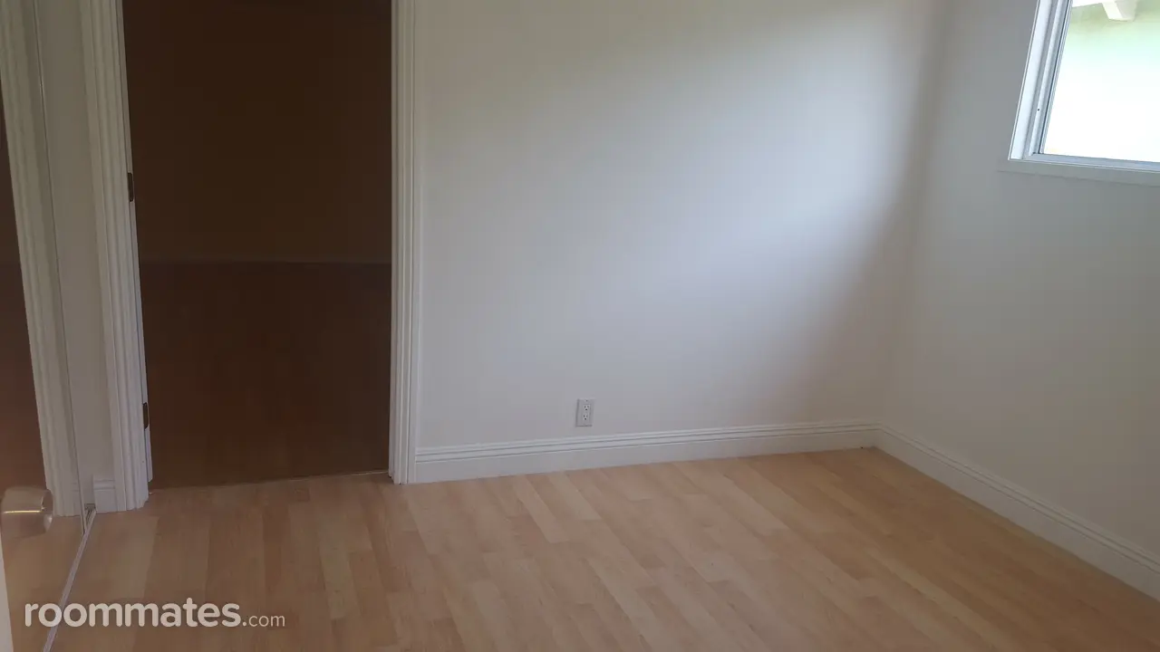 Profile photo 7 of 8